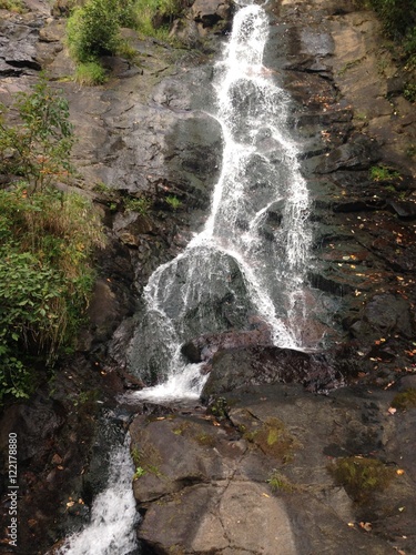 Amicalola Falls photo