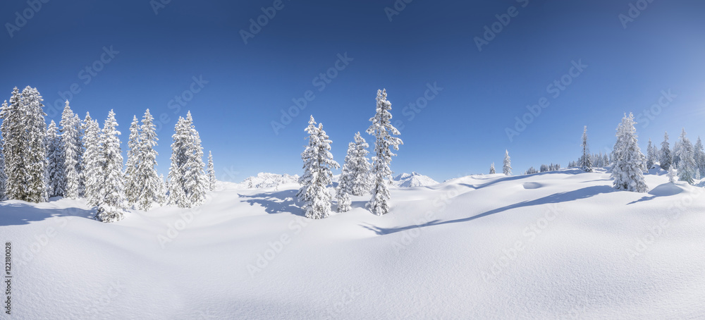 Fototapeta premium Verschneite Winterlandschaft