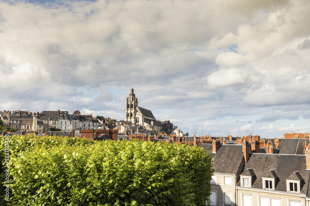 Saint-Louis Cathedral in Blois