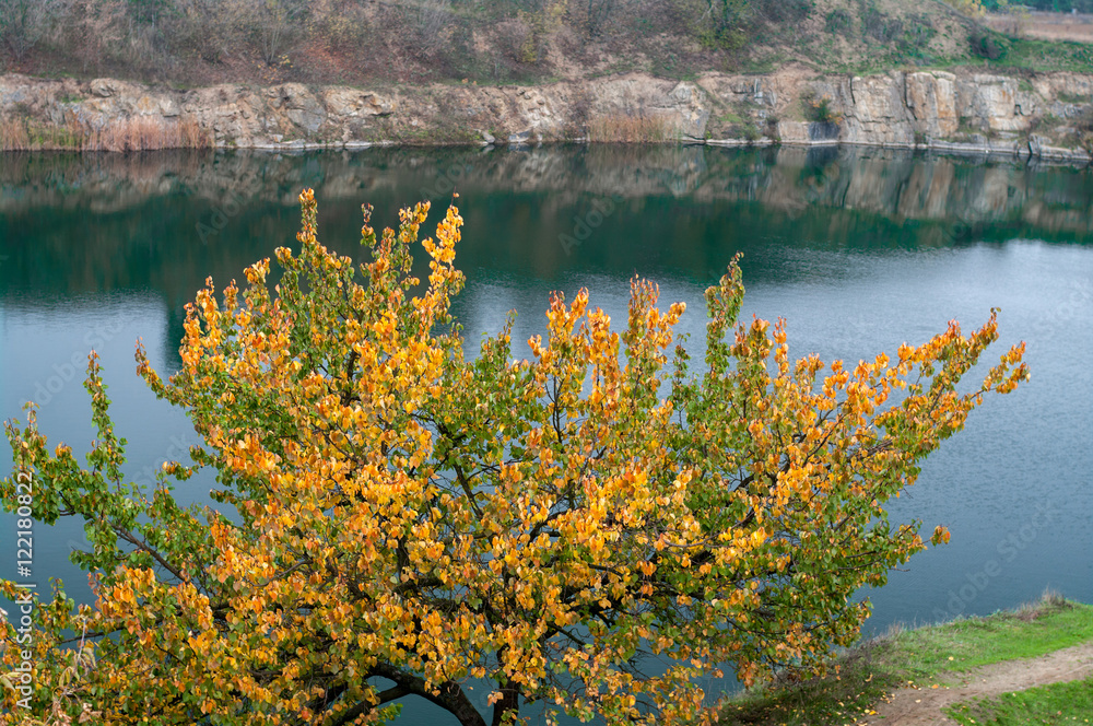 Tree with yellow leaves on the bank of granite quarry filled with water. Autumn. Selective focus. Tree with yellow leaves on the bank of granite quarry filled with water. Autumn. Selective focus.