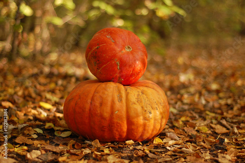 the season of pumpkins or Halloween's coming up