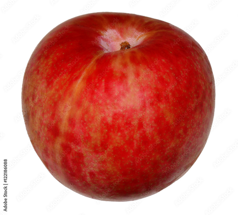 Eine Pluot Eine Pluot