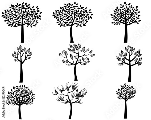 Photography Vector Collection of Black Tree Silhouettes in Flat Style