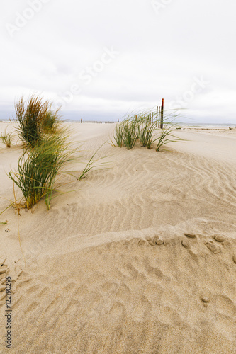 Fototapeta Naklejka Na Ścianę i Meble -  White sand dunes with a fence and grass.