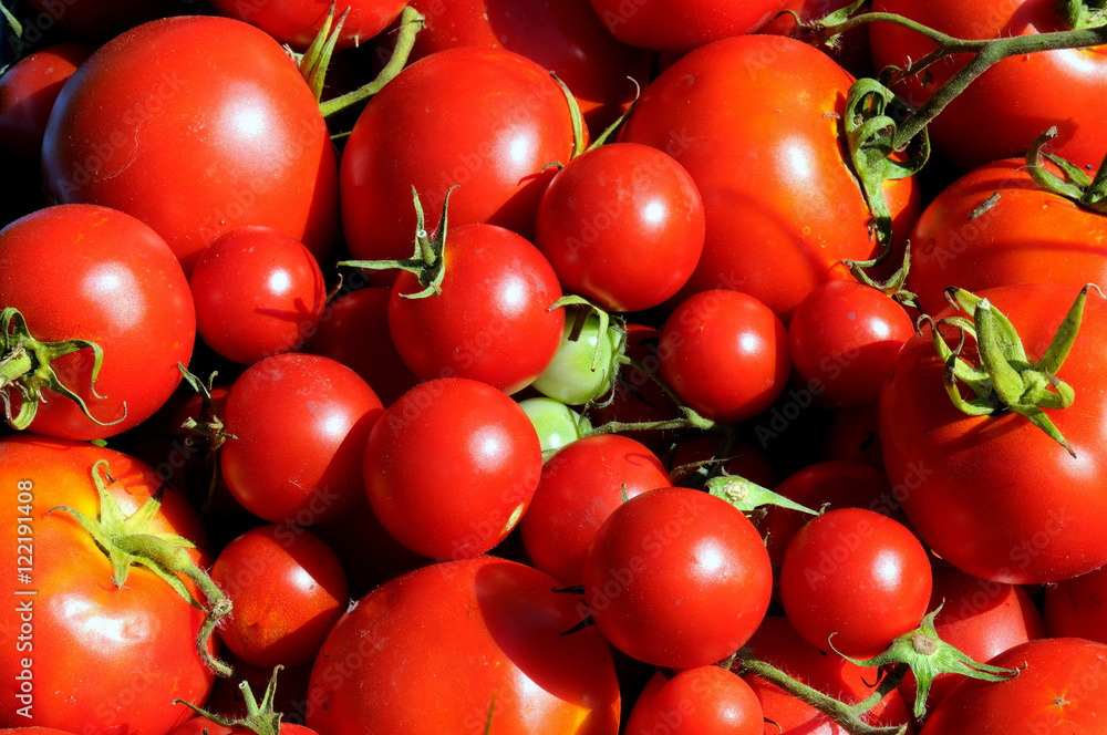 Red tomatoes with bright highlights on the skin