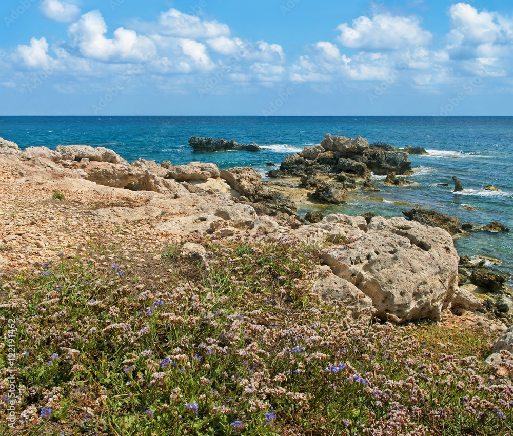 rocky coast with flowers