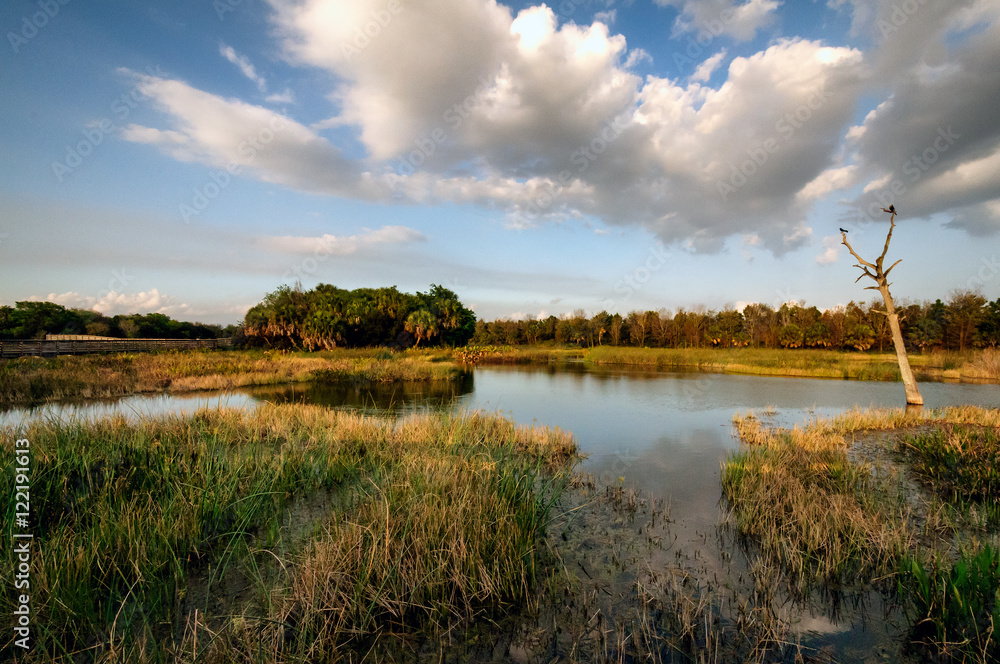 Clouds Over Marsh