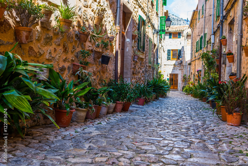 Fototapeta premium Plant Street in Valldemossa, Majorca