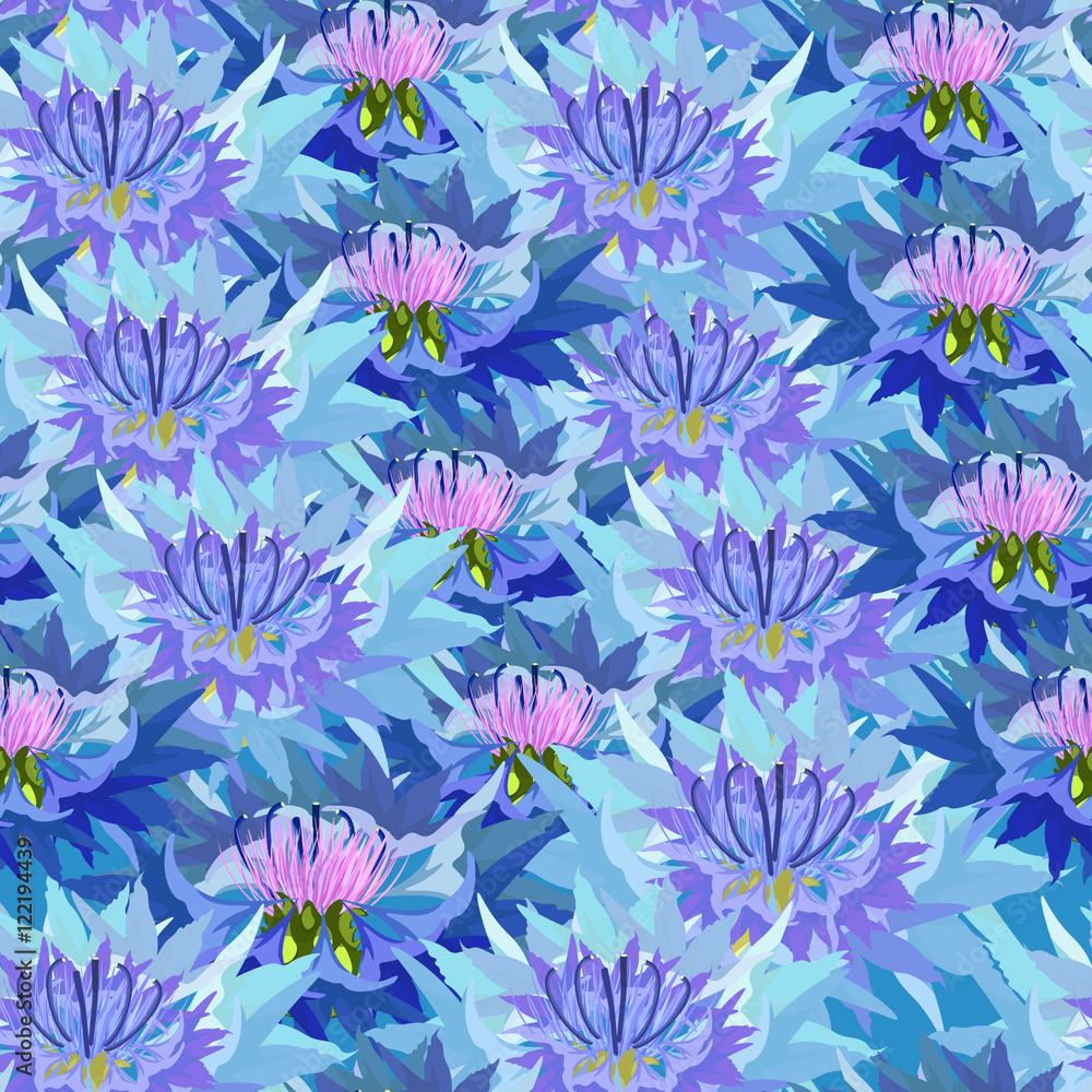 seamless pattern of wild flowers knapweed closely spaced. 