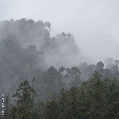 Mist over landscape in Bhutan