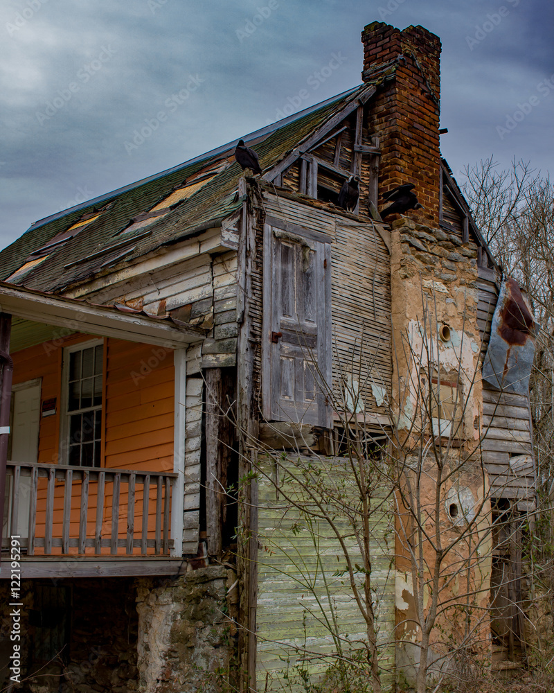 distressed house, foreclosure, falling down, birds distressed house, foreclosure, falling down, birds