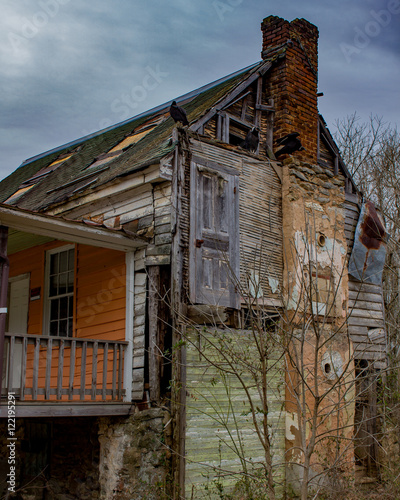 distressed house, foreclosure, falling down, birds 