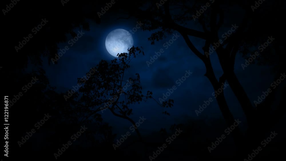 Birds Flying Past Moon In Jungle Birds Flying Past Moon In Jungle