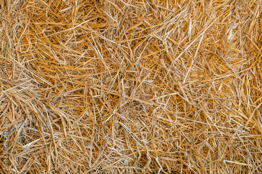 View to straw as background View to straw as background