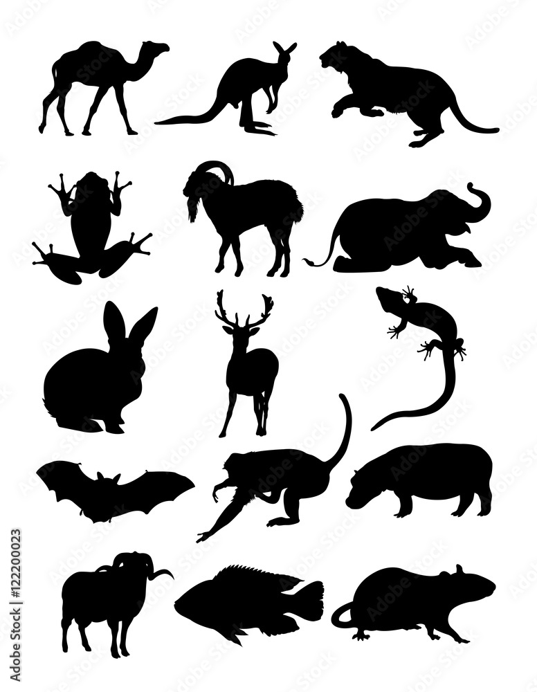 Fototapeta premium set animal silhouette