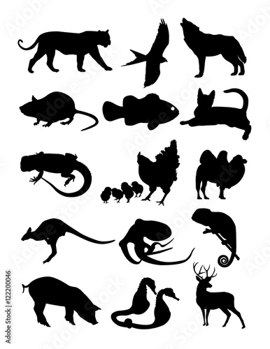 set animal silhouette 