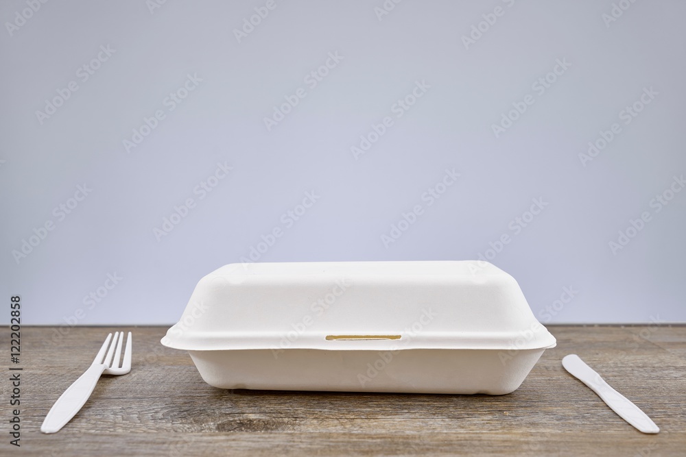 Takeaway Food Container Takeaway Food Container