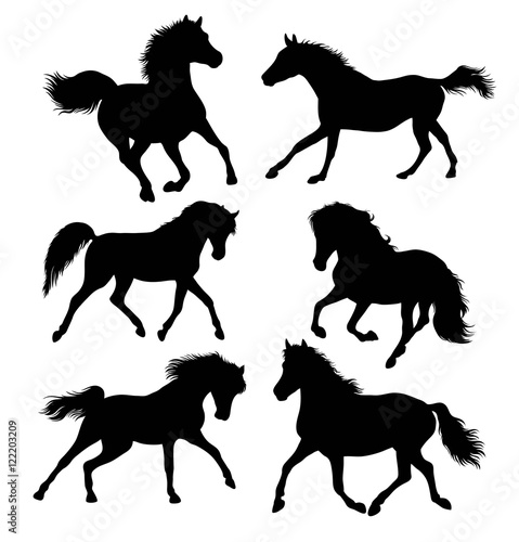 Horse Running Silhouettes, illustration art vector design