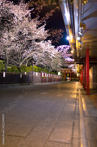 Photography Asakusa at night, Tokyo, Japan.
