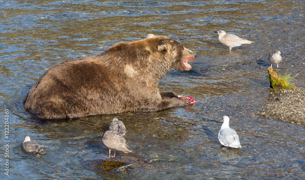 Fototapeta premium Yeah you aint getting any today