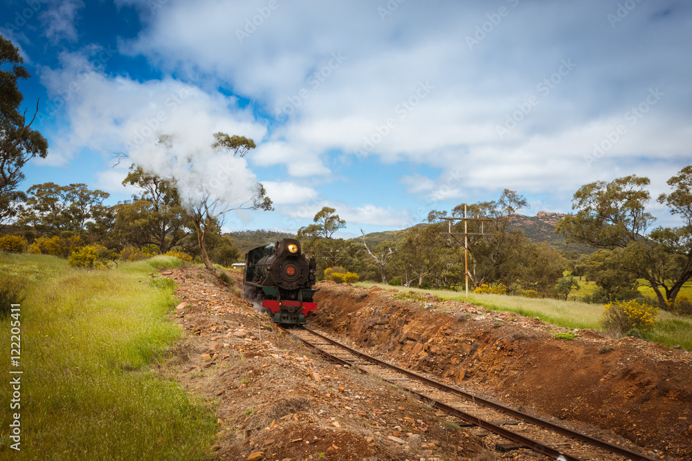 Fototapeta premium Pichi Richi tourist steam train