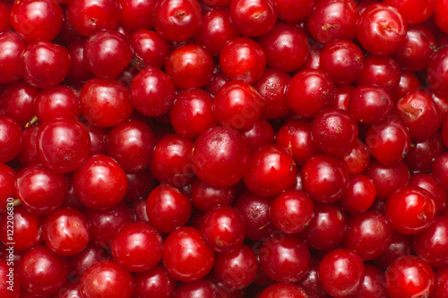 fresh cherry berry background