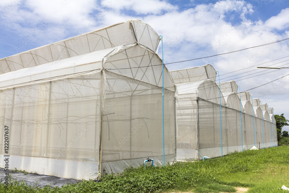 Greenhouse melon farm on blue sky background Greenhouse melon farm on blue sky background