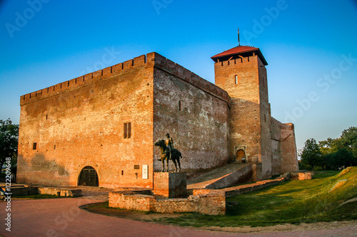 Castle in Gyula photo