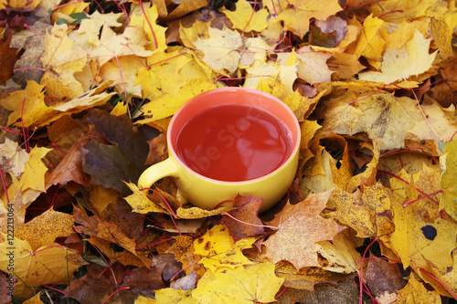 Tea on fall autumn leaves