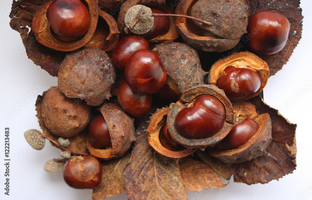 Fototapeta premium Chestnuts on white