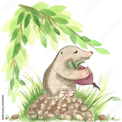 Vector watercolor forest  animal illustration - cute mole with beet, green grass and shrub