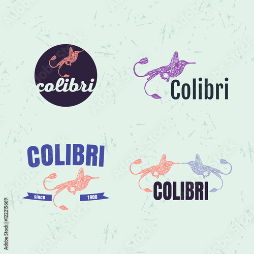 Vector logo set with Hummingbird