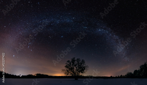 Milky way over the lonely tree