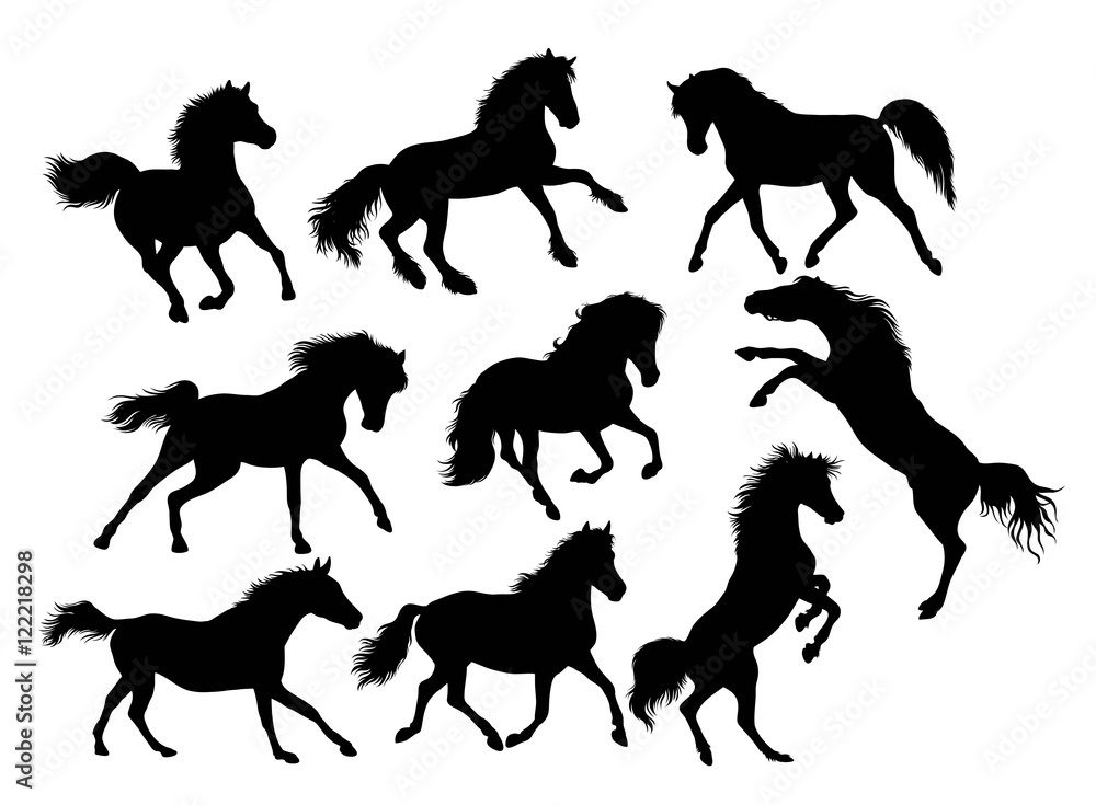 Fototapeta Sylwetka aktywności konia, projekt ilustracji wektorowych sztuki