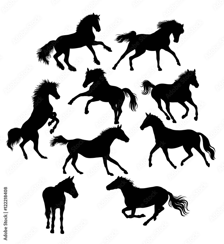 Fototapeta Silhouette of Action and Activities Horses, illustration art vector design