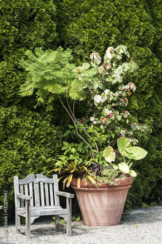 Wooden vintage chair and big flower pot in garden courtyard © varbenov