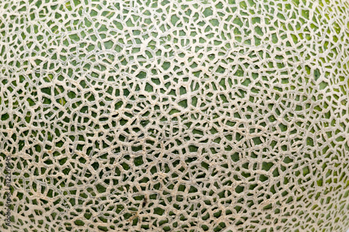 Texture of cantaloupe melons  in closeup.