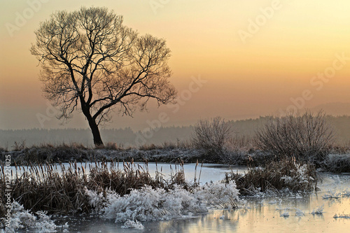 Winter scene with frozenned tree and winter pond. Winter scene with sunset.   © unverdorbenjr