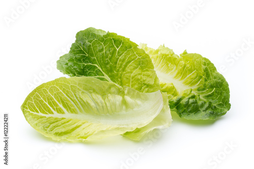 Oak Leaf lettuce isolated on white background.