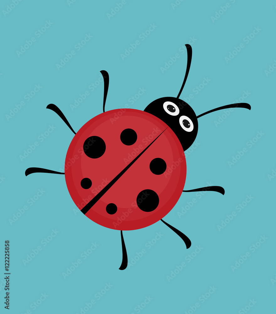 Cute ladybug. Flat vector. Cute ladybug. Flat vector.