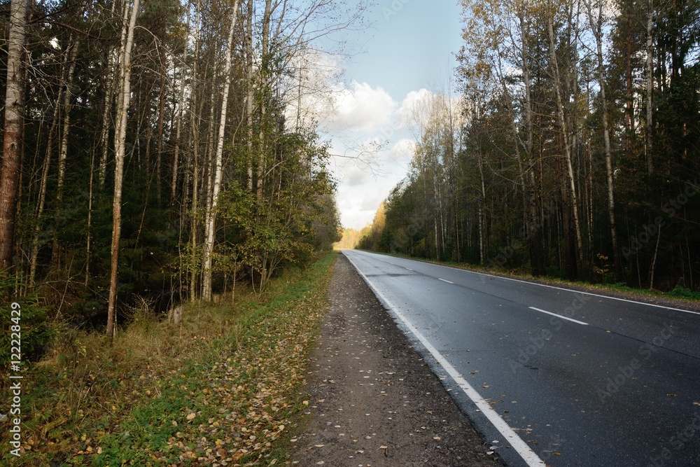 Highway in the autumn forest Highway in the autumn forest