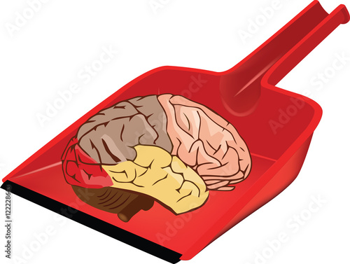 paletta con cervello