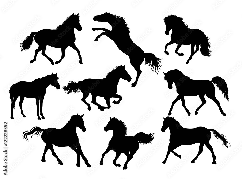 Fototapeta Horse Silhouettes, illustration art vector design