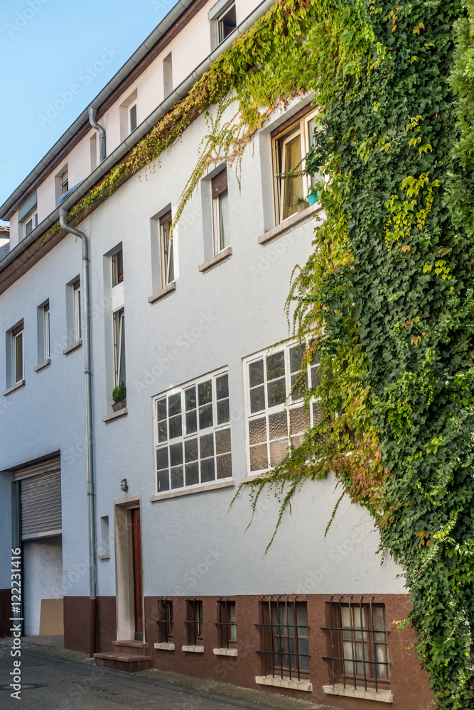 Efeu an der Hauswand Efeu an der Hauswand
