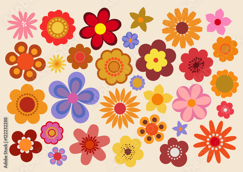Fleurs des années soixante-dix (part 3) photo