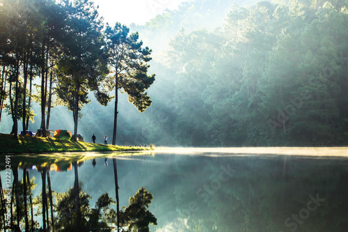 pang ung , reflection of pine tree in a lake , meahongson , Thailand