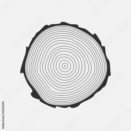 Cross section of tree stump, isolated on white background. Vector illustration, eps 8.