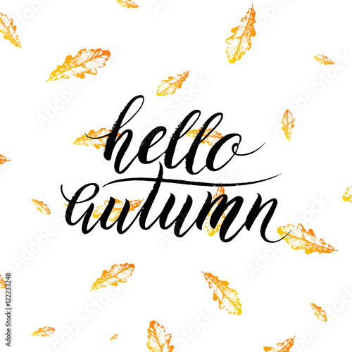 Hello autumn text isolated on orange leaves background, hand painted vector, autumnal lettering on autumn leaf oak for card, poster, banner, print, handwritten quotes