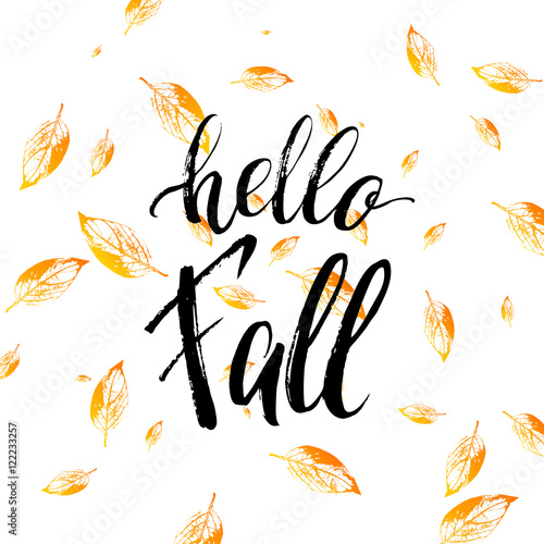 Hello fall text isolated on orange leaves background, grunge hand painted letter, vector autumnal lettering on yellow leaf for card, poster, banner, print, handwritten quotes
