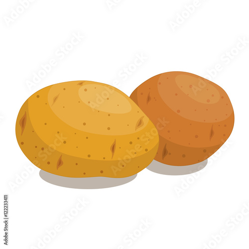 Two potato close up isolated on white background. Vector illustration.